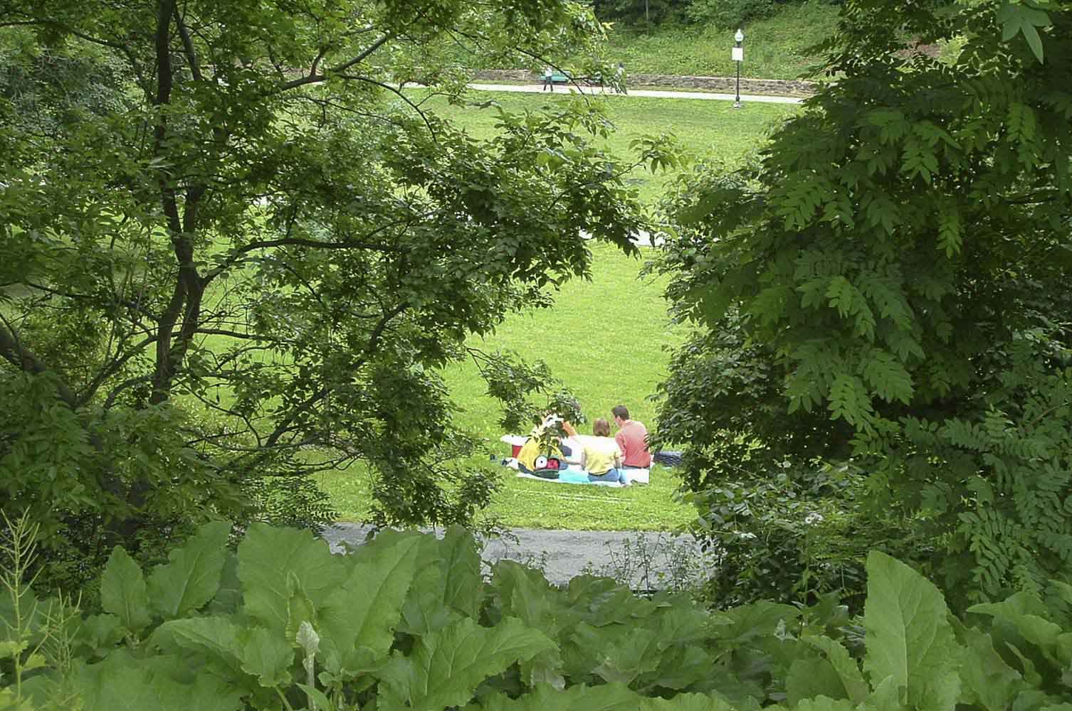 Wyman Park Dell Mahan Rykiel Associates