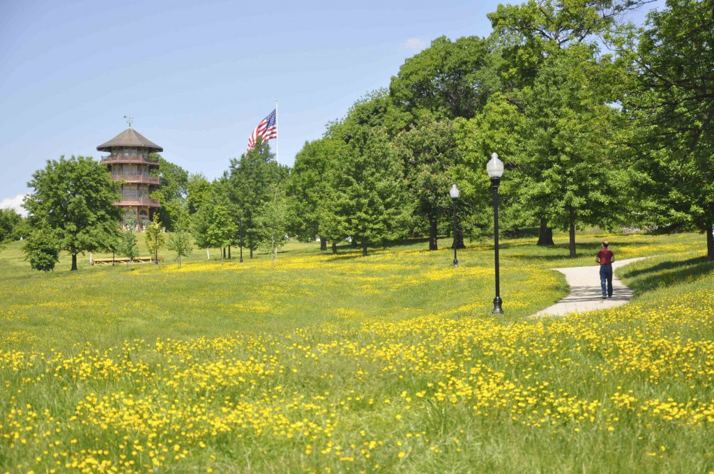 Patterson Park Master Plan Mahan Rykiel Associates