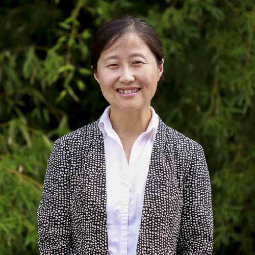 Peng Gu, Associate Principal