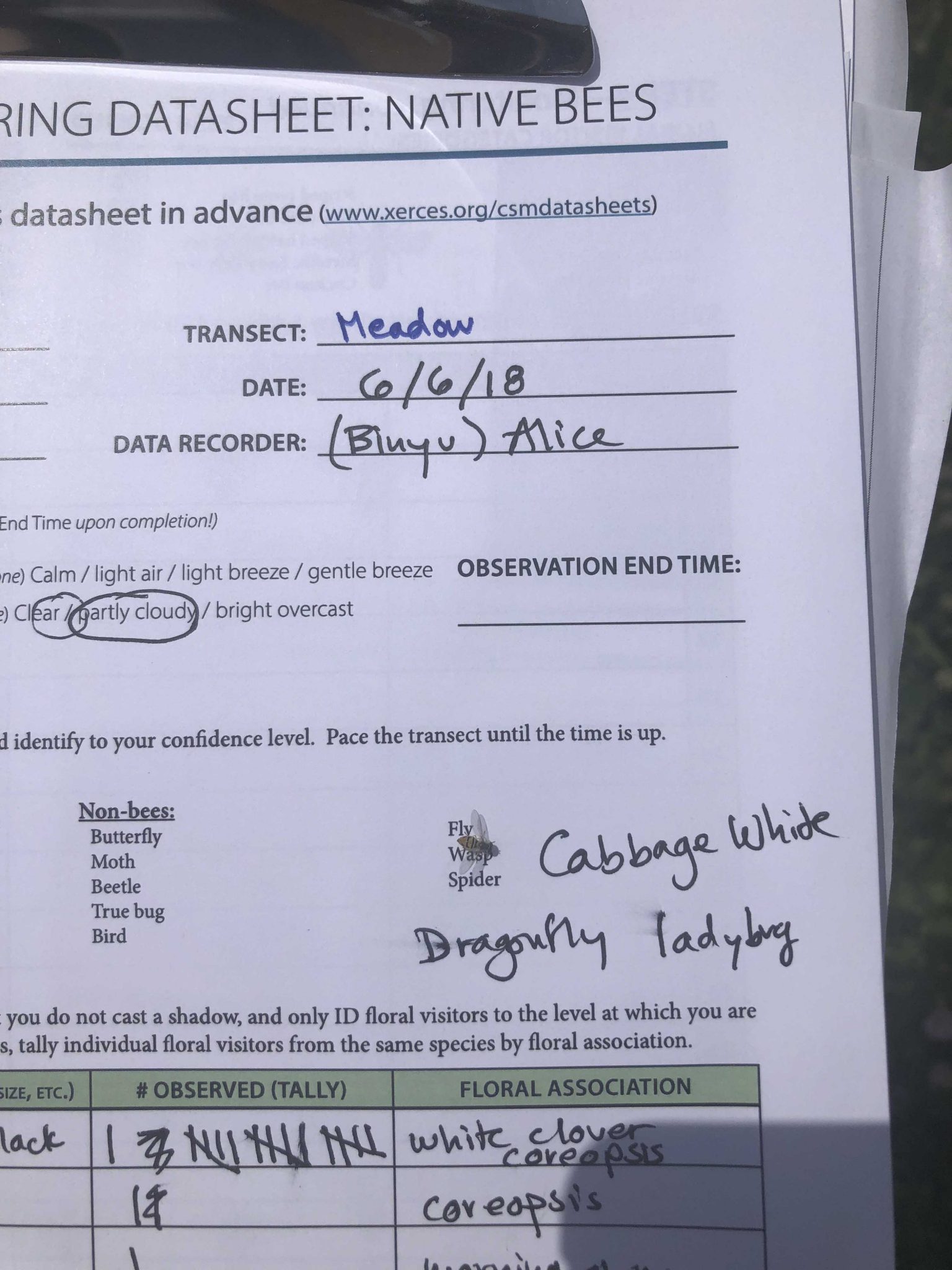 data collection for meadow research