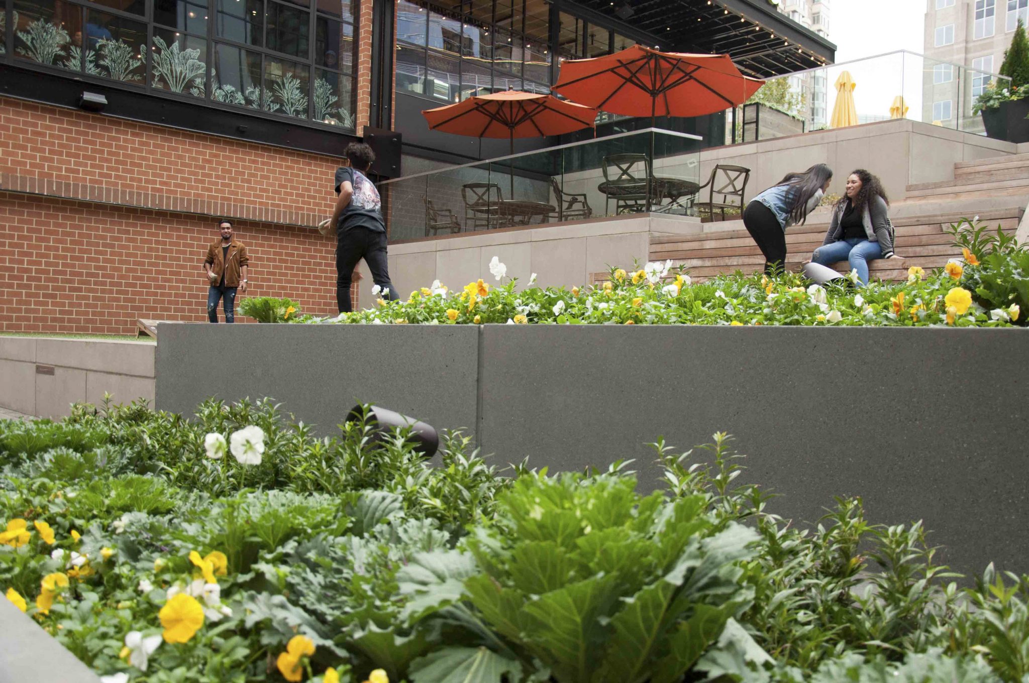 Ballston Quarter Landscape Architecture