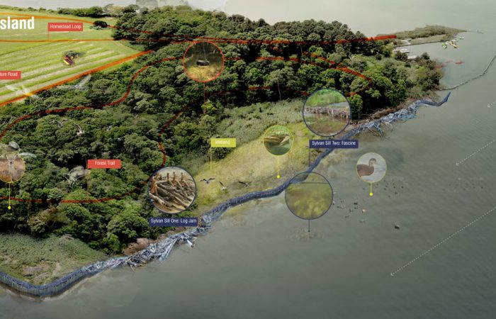 Parsons Island View - Northern Island