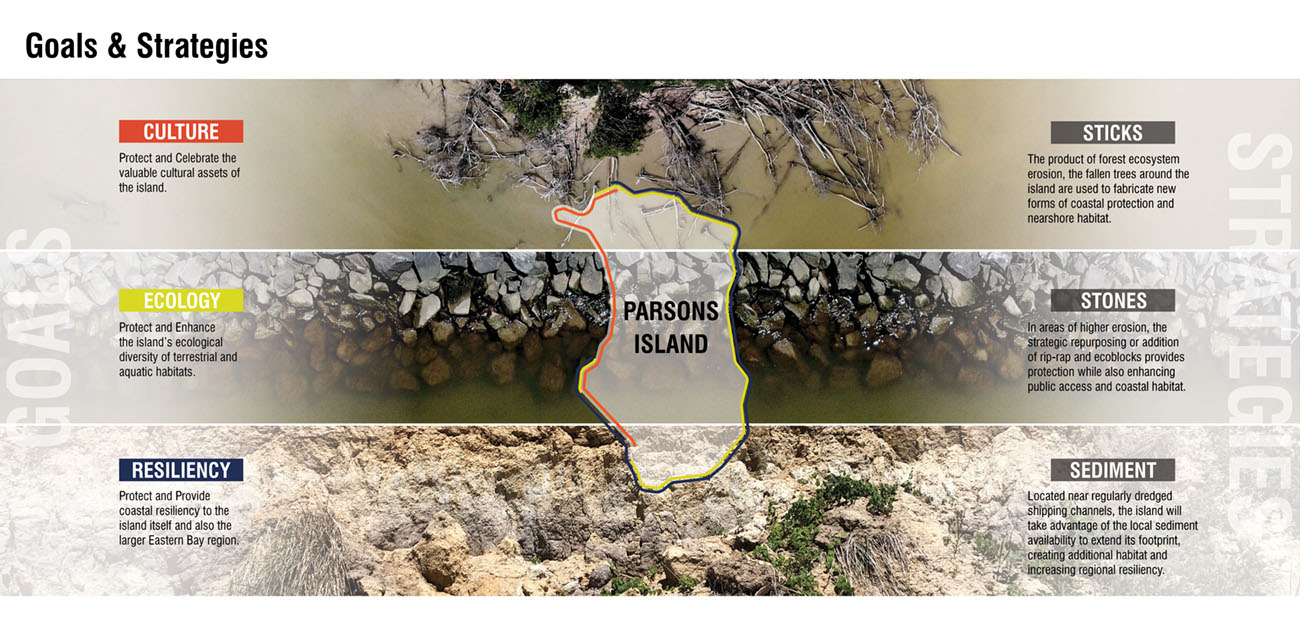 Parsons Island Regeneration Goals & Strategies