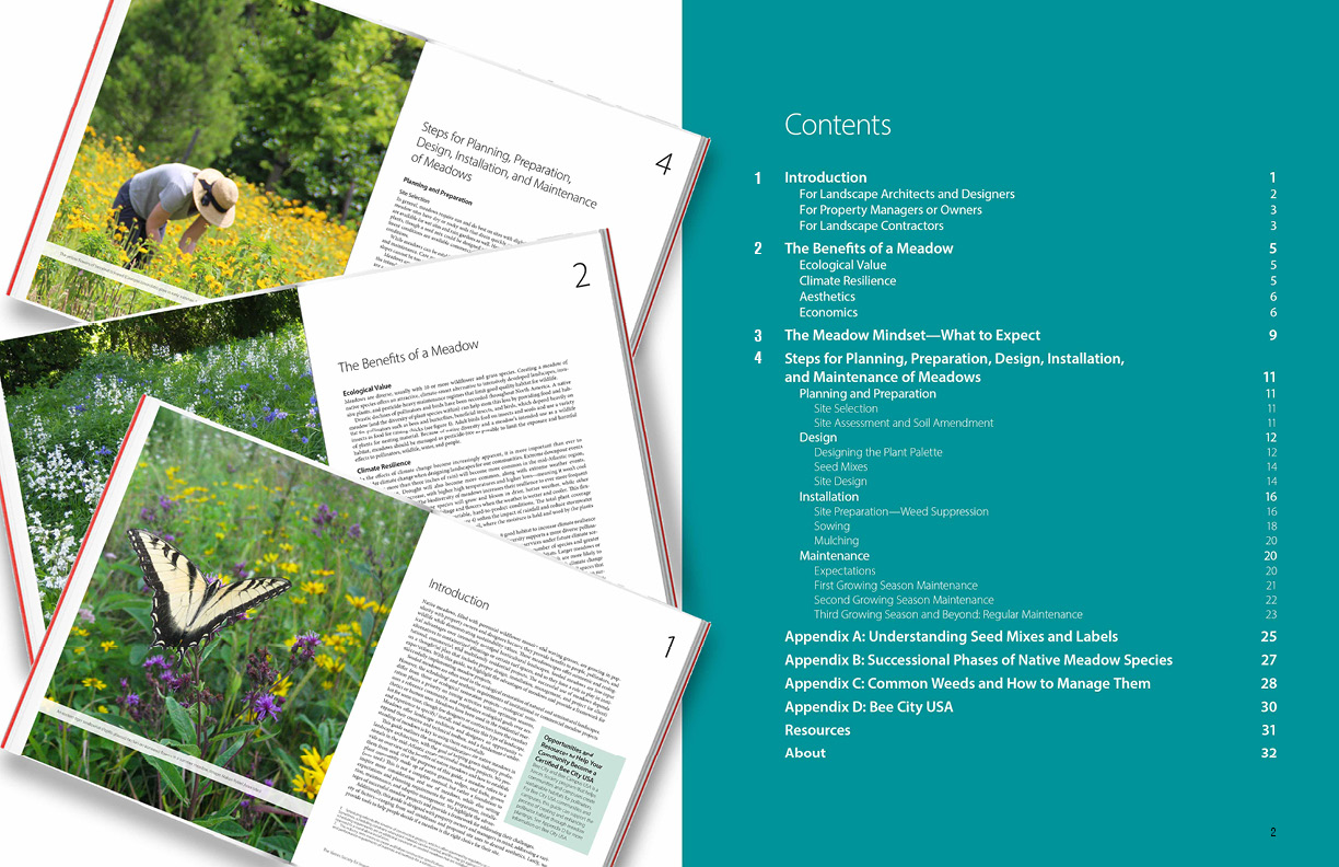 Mid Atlantic Meadow Guide Index