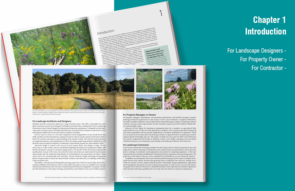 Mid Atlantic Meadow Guide 5 TARGET AUDIENCE The intended audience includes landscape architects and designers, property managers and owners, and landscape contractors. The guide provides clarity on the planning, scheduling, and expectations involved in installing a designed seeded meadow.