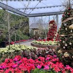 Home for the Holidays - Assiniboine/The Leaf Winter Show
