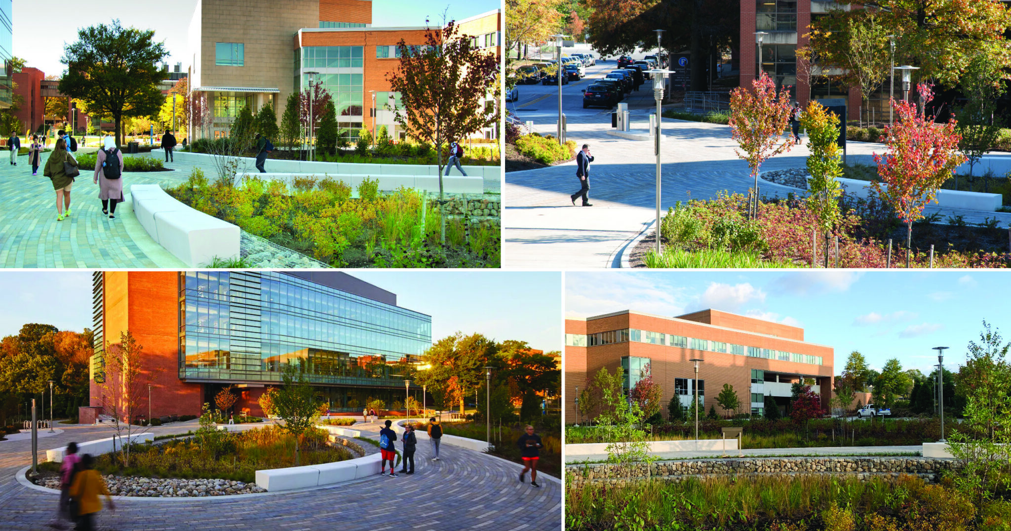 Institutional_UMBC ILSB Pedestrian Enhancements