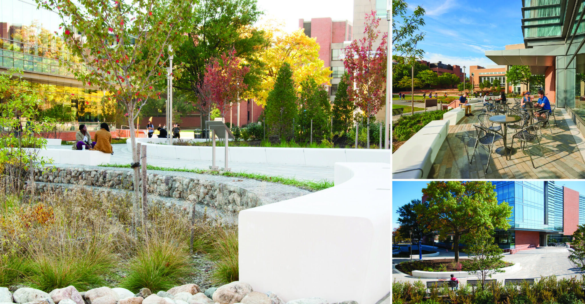 Institutional_UMBC ILSB Placemaking Elements