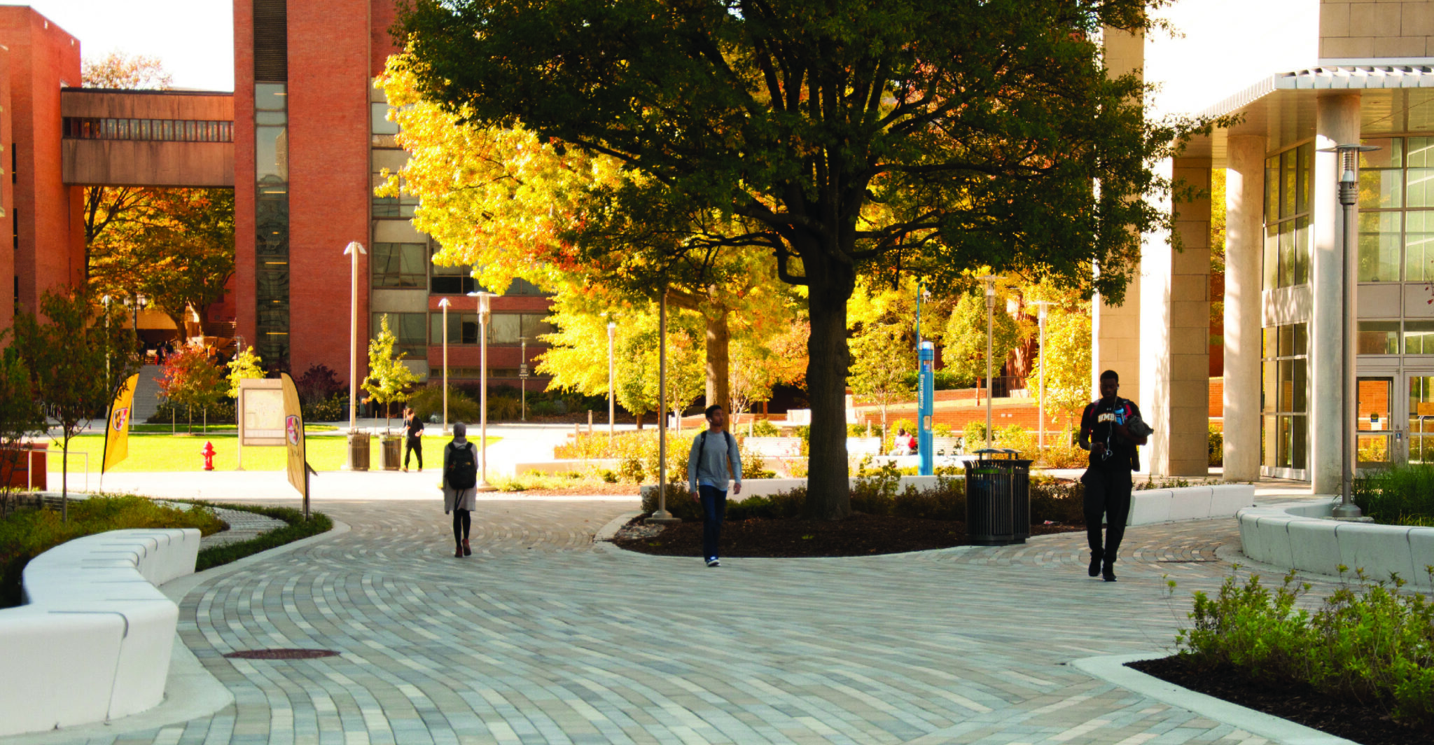 Institutional_UMBC ILSB Tree Preservation