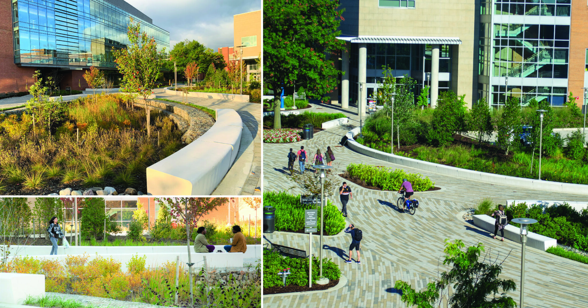 Institutional_UMBC ILSB Bay Friendly Landscape