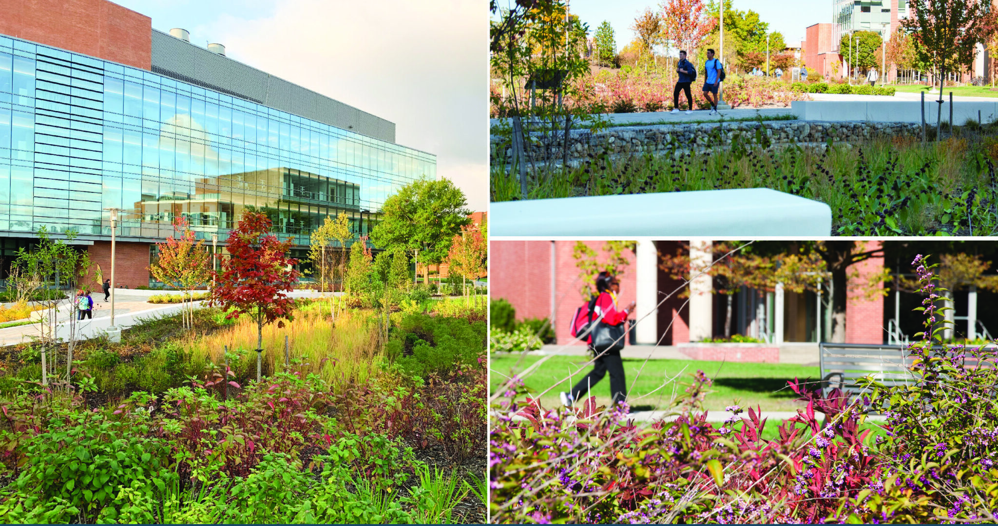 Institutional_UMBC ILSB_Thriving Habitat