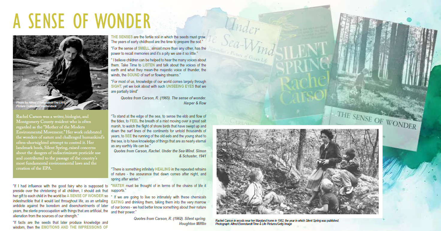 The landscape design draws inspiration from Rachel Carson’s seminal work, Silent Spring, and her deep connection to nature.