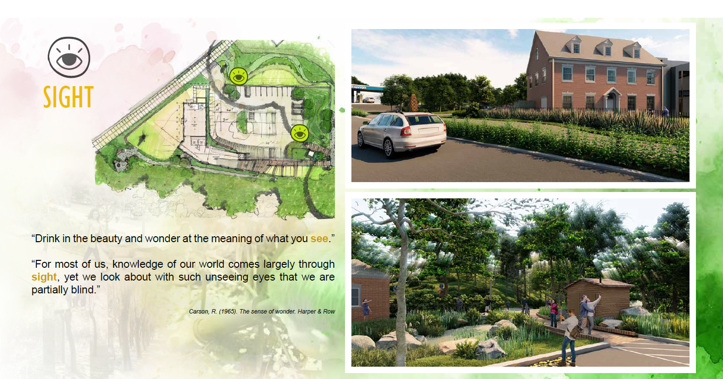 Sight is a key element of the landscape, creating a dynamic visual experience through a rich palette of native plantings, natural materials, and nature- themed art. Seasonal changes in the plantings—